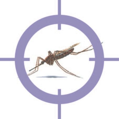 Mosquito Control Services